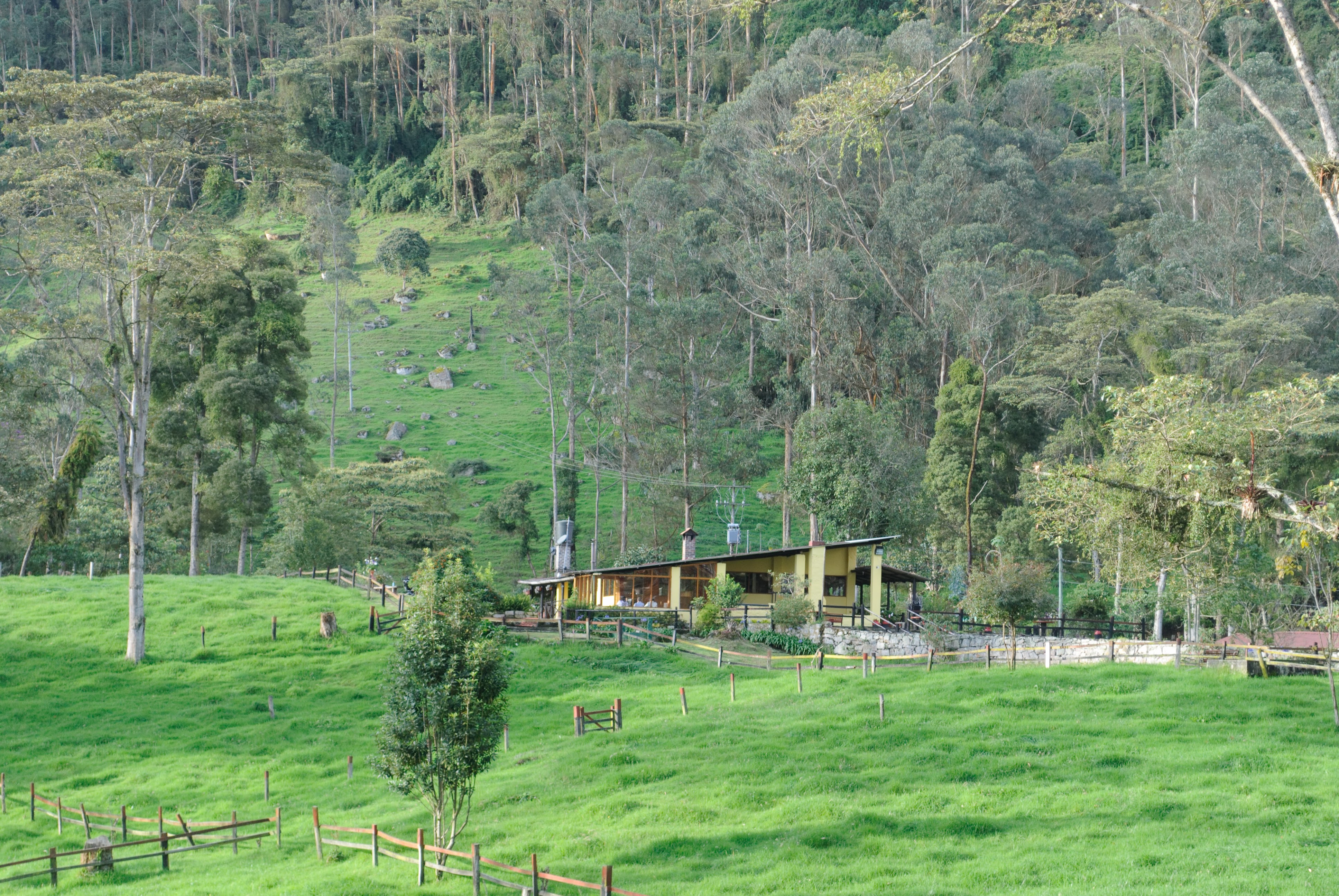 Cabaña Hacienda Nebraska: finca lechera en Zipacón